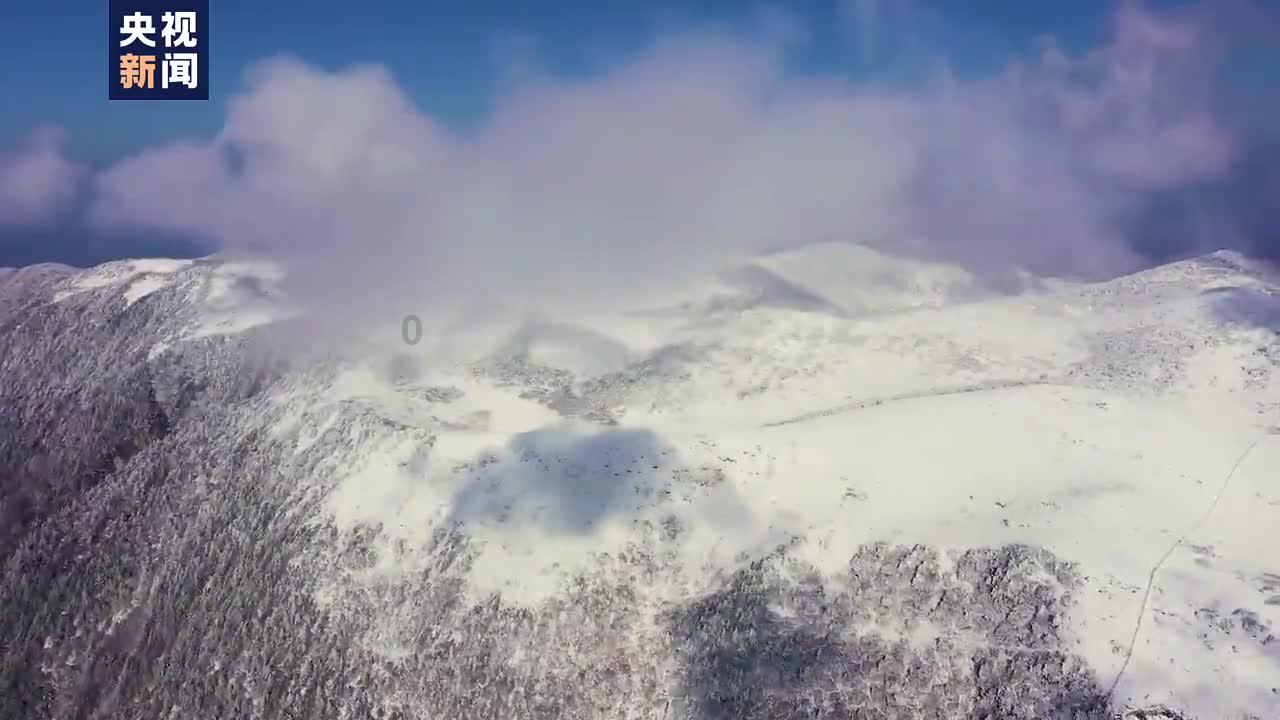 中土世界战争之影