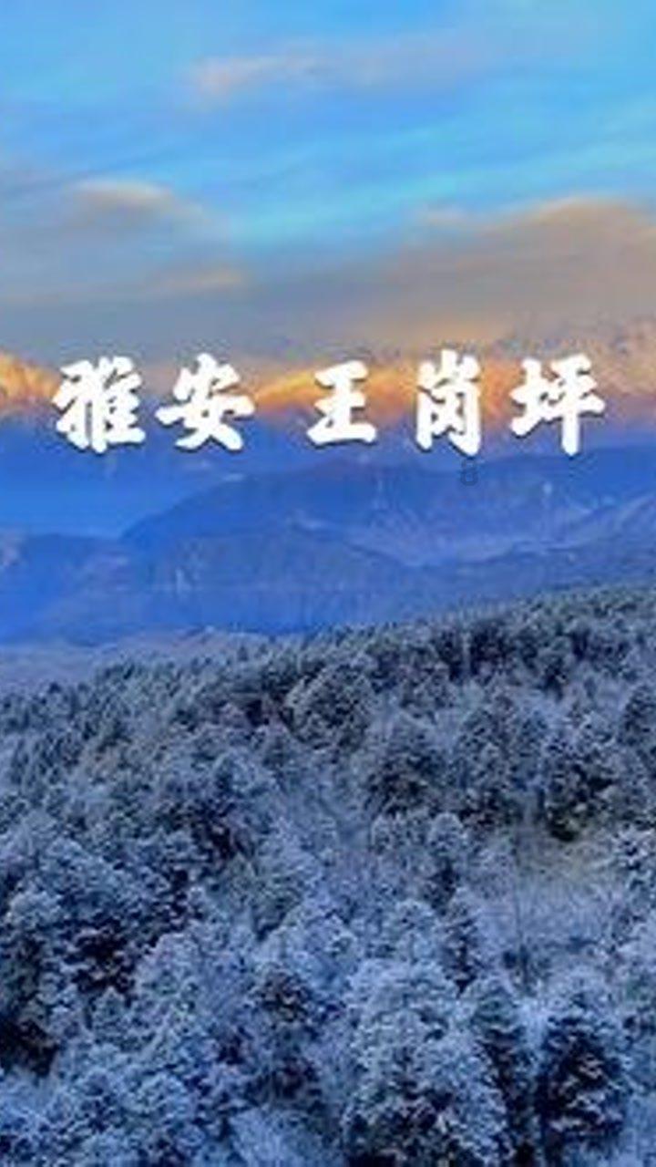 乡村景观设计规划设计