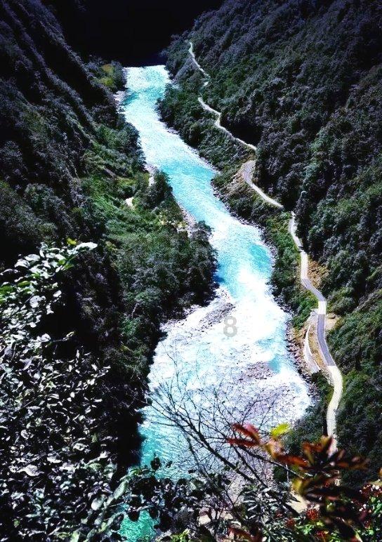 离了二价HPV疫苗、抗原检测试剂 万泰生物业绩不灵了